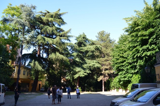 Giardino Palazzo Zani