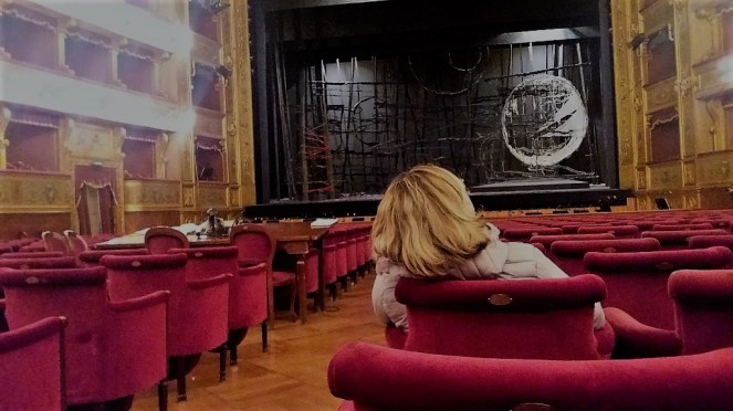 Interno del teatro Massimo - Palermo