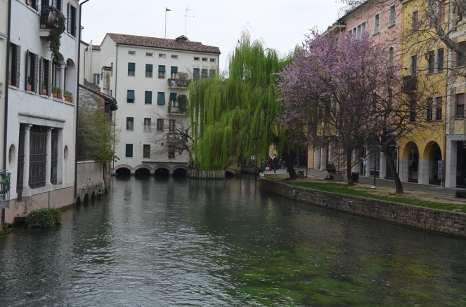 Fiume Sile - Treviso