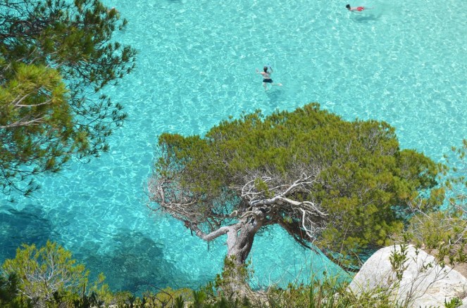 acque cristalline Cala Macarelleta Minorca