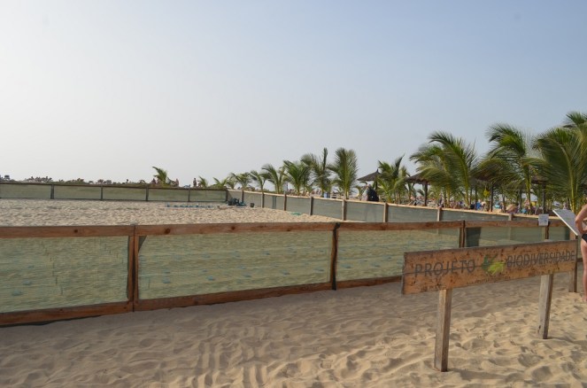 Projeto Biodiversidad Capo Verde