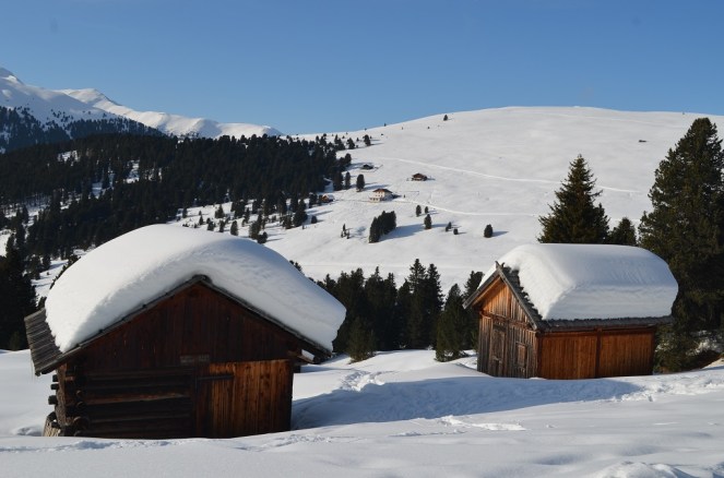 Paesaggi innevati - Passo delle Erbe