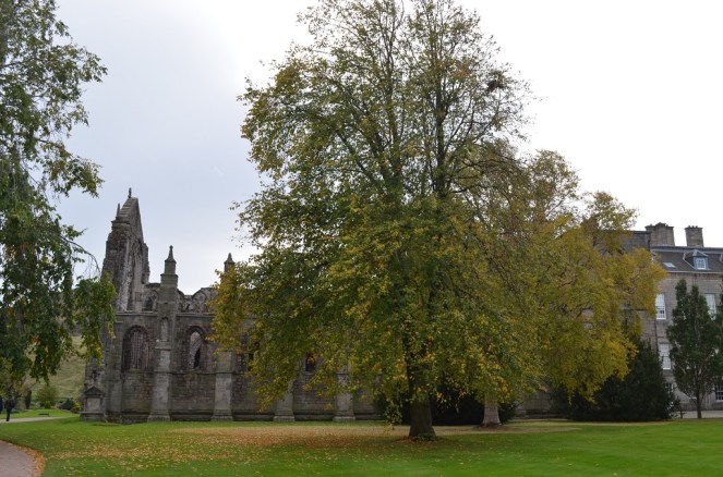 Park Holyrood house Edimburgh