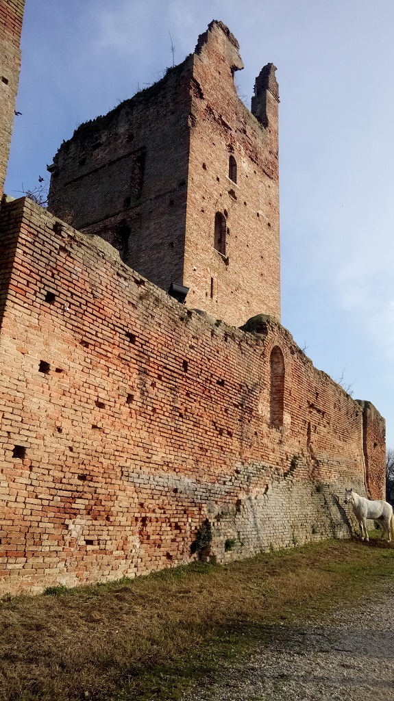 Mura del Castello - Castel d'Ario