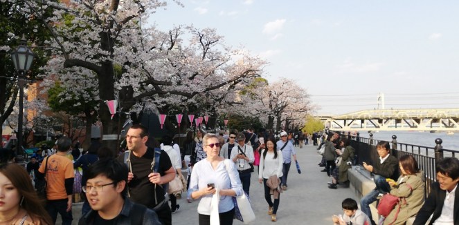 lungo il fiume Sumida - Tokyo