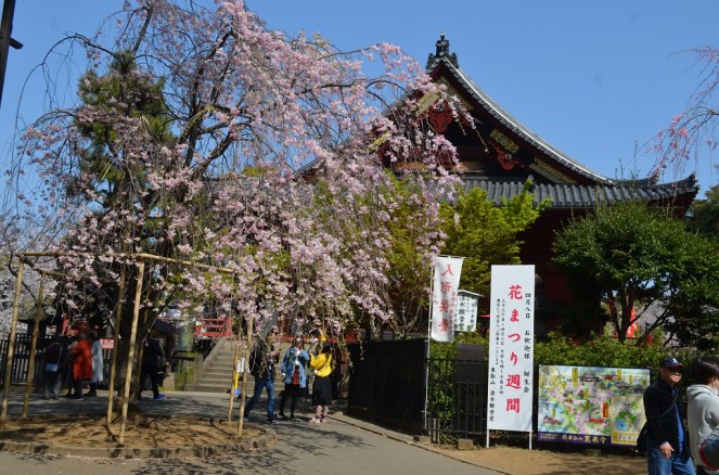 Tempio Kyomizu Kannon-do - Tokyo