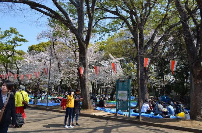 Ueno Park- Tokyo