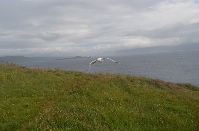Isle of Staffa, Scotland