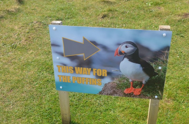 The way for the Puffins - Isle of Staffa