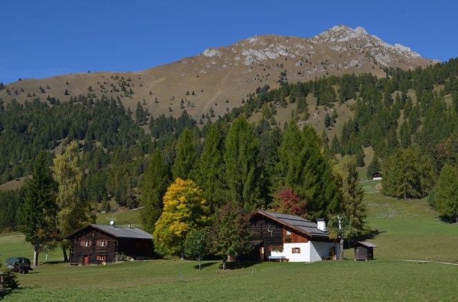 Paesaggio in Val di Fiemme