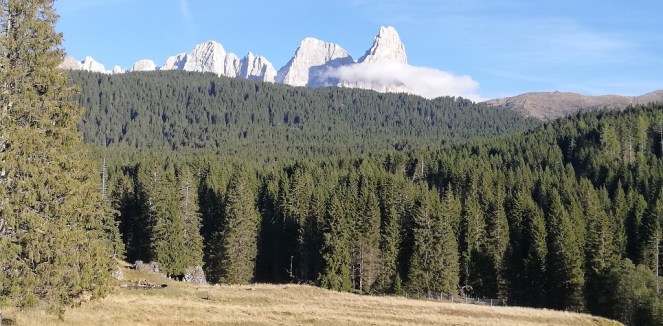 Val di Fiemme
