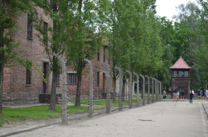 Il filo spinato di Auschwitz