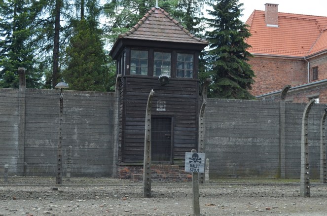 il filo spinato - Auschwitz
