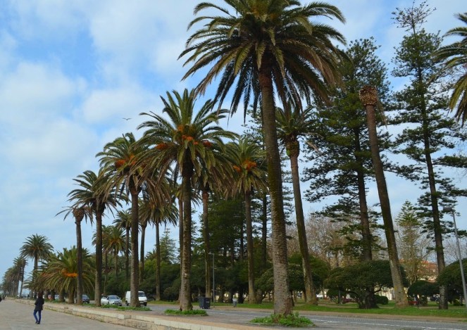 Jardim do Passeio Alegre - Foz do Douro