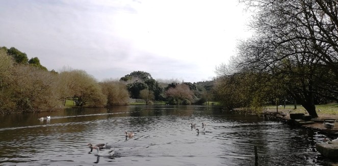 Parque da Cidade do Porto