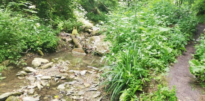 Parco dei Sassi di  Roccamalatina