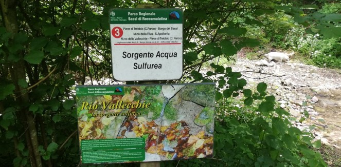 Sorgente acqua sulfurea Rio Vallecchie