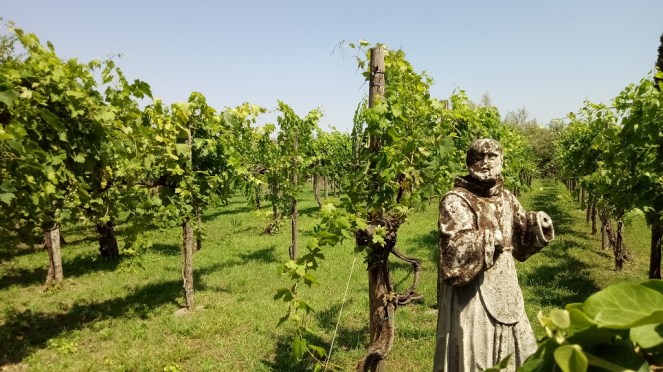 I giardini di Torcello